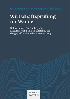 Wirtschaftsprüfung im Wandel (eBook, ePUB)