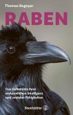 Raben (eBook, ePUB)
