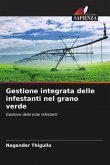 Gestione integrata delle infestanti nel grano verde