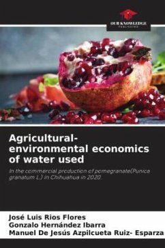 Agricultural-environmental economics of water used - Ríos Flores, José Luis;Hernández Ibarra, Gonzalo;Azpilcueta Ruiz- Esparza, Manuel De Jesús
