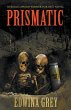 Prismatic - Bild 1