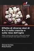 Effetto di diverse dosi di N e S sulla crescita e sulla resa dell'aglio