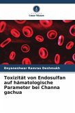 Toxizität von Endosulfan auf hämatologische Parameter bei Channa gachua