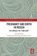 Pregnancy and Birth in Russia (eBook,... - Bild 1