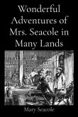 Wonderful Adventures of Mrs. Seacole in Many Lands (eBook, ePUB)