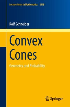 Convex Cones (eBook, PDF) - Schneider, Rolf