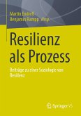 Resilienz als Prozess (eBook, PDF)