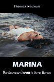 Marina (eBook, ePUB)