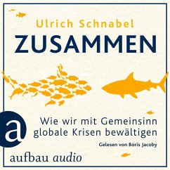 Zusammen (MP3-Download) - Schnabel, Ulrich