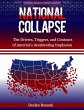 National Collapse (eBook, ePUB) - Bild 1