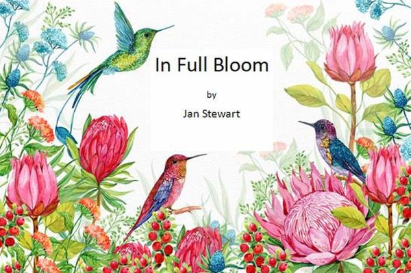 In Full Bloom (eBook, ePUB)