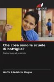 Che cosa sono le scuole di bottiglie?