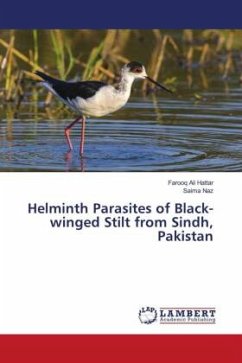 Helminth Parasites of Black-winged Stilt from Sindh, Pakistan - Hattar, Farooq Ali;Naz, Saima