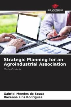 Strategic Planning for an Agroindustrial Association - Mendes de Souza, Gabriel;Lins Rodrigues, Ravenna