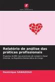 Relatório de análise das práticas profissionais