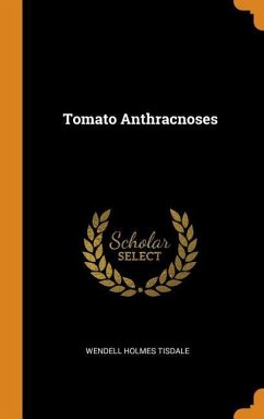 Tomato Anthracnoses - Tisdale, Wendell Holmes