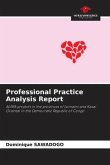 Professional Practice Analysis Report