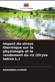Impact du stress thermique sur la physiologie et le rendement du riz (Oryza sativa L.)