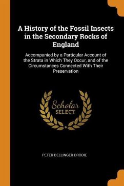 A History of the Fossil Insects in the Secondary Rocks of England - Brodie, Peter Bellinger