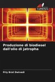 Produzione di biodiesel dall'olio di jatropha