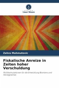 Fiskalische Anreize in Zeiten hoher Verschuldung - Mahmutovic, Zehra