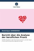 Bericht über die Analyse der beruflichen Praxis