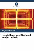 Herstellung von Biodiesel aus Jatrophaöl