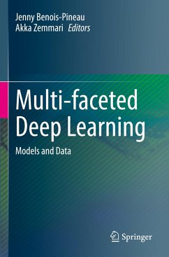 Multi-faceted Deep Learning