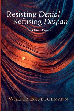 Resisting Denial, Refusing Despair (eBook, ePUB)