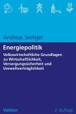 Energiepolitik (eBook, PDF)