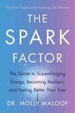 The Spark Factor (eBook, ePUB)