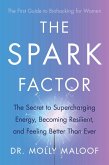 The Spark Factor (eBook, ePUB)