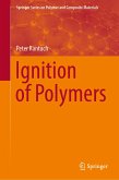 Ignition of Polymers (eBook, PDF)