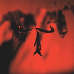 Make Team Presents Maxim Mental In Maximalism - Mental,Maxim