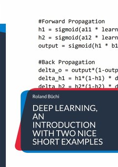 Deep Learning, an introduction with two nice short examples - Büchi, Roland