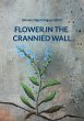 Flower in the Crannied Wall - Bild 1