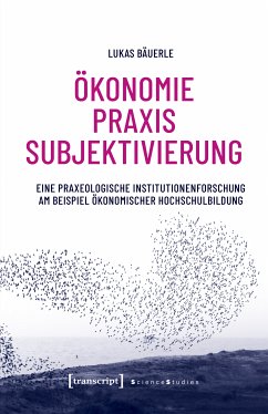 Ökonomie - Praxis - Subjektivierung (eBook, PDF) - Bäuerle, Lukas