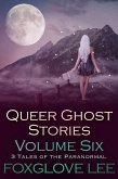 Queer Ghost Stories Volume Six: 3 Tales of the Paranormal (eBook, ePUB)