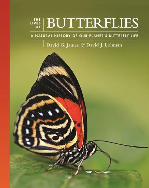 The Lives of Butterflies (eBook, PDF) The Lives of Butterflies (eBook, PDF)