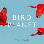 Bird Planet (eBook, ePUB)