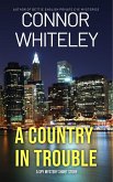A Country In Trouble: A Crime Mystery Short Story (eBook, ePUB)