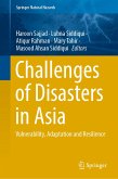 Challenges of Disasters in Asia (eBook, PDF)