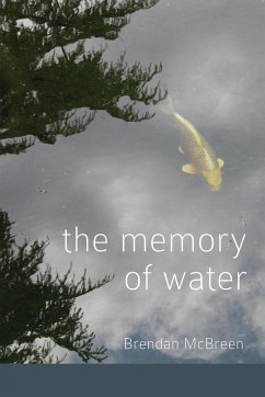 The Memory of Water - McBreen, Brendan