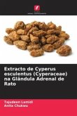 Extracto de Cyperus esculentus (Cyperaceae) na Glândula Adrenal de Rato