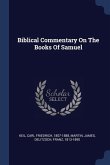 Biblical Commentary On The Books Of Samuel