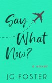 Say What Now? (eBook, ePUB)