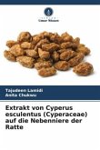 Extrakt von Cyperus esculentus (Cyperaceae) auf die Nebenniere der Ratte