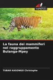 La fauna dei mammiferi nel raggruppamento Bulanga-Mpey