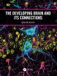The Developing Brain and its Connections - Bild 1