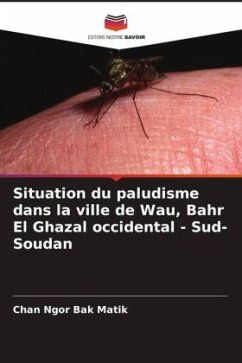 Situation du paludisme dans la ville de Wau, Bahr El Ghazal occidental - Sud-Soudan - Ngor Bak Matik, Chan